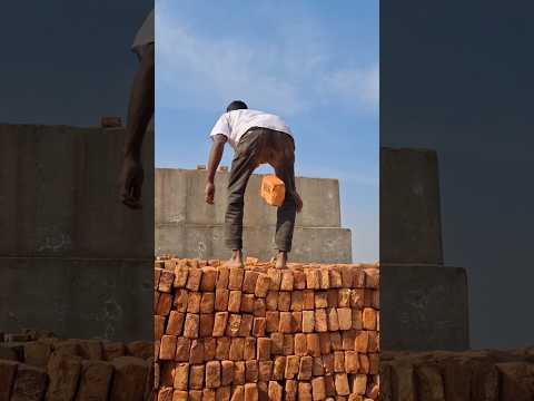 Check out the brick-catching skills