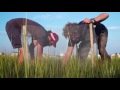 Salt Marsh Ecosystem Dynamics