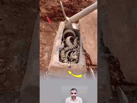 وراء كل مشقة، هدية عظيمة من القدر كنز عظيم خرج من حجر صغير، تذكرة بأن الرزق بيد الله#youtubeshorts