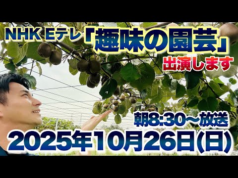 【お知らせ】2025年10月26日(日)NHK Eテレ「趣味の園芸」出演いたします【キウイフルーツ】