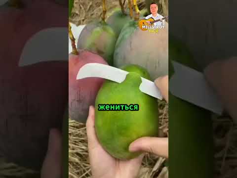 Дела семейные...