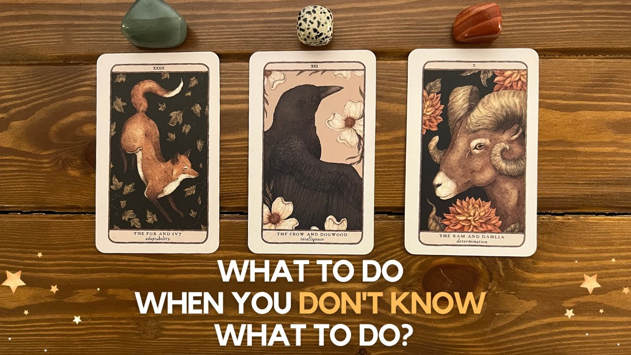 What To Do When You Don't Know What To Do?