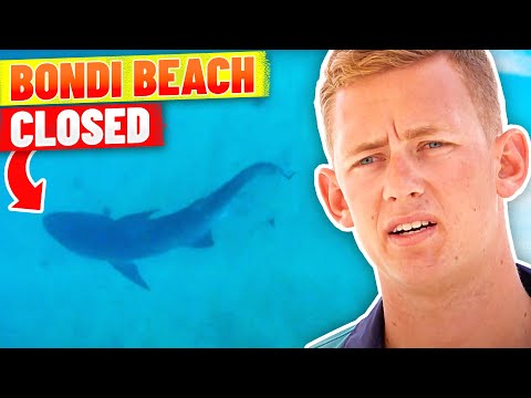 Bondi's Most Memorable Beach Closure Moments