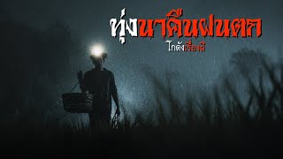 ทุ่งนาคืนฝนตก | โกดังเรื่องผี EP.362 [เรื่องเล่า]