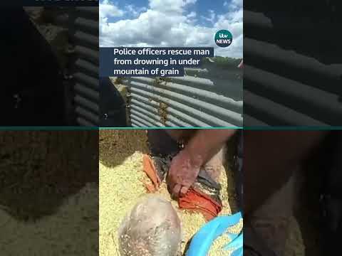 Police officers rescue man from drowning in under mountain of grain #australia #itvnews #police