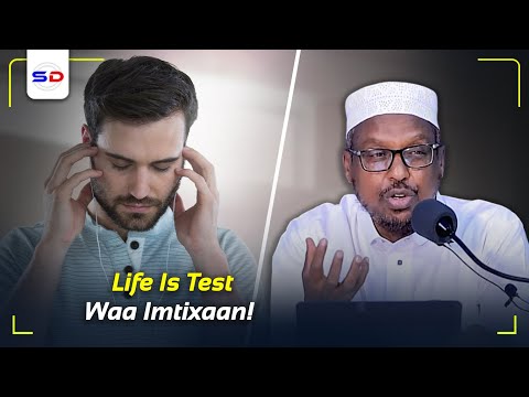 Sheekh Mustafe X | Dhibaato ay Sharaxi Kari Waayeen Falsafadii Gaaladu & Su`aalo Waydiiyeen Muslimka