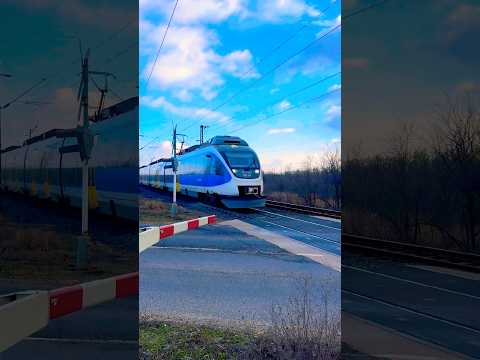 Robog az EuroRégió