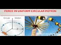 Forces and Motion Calculations