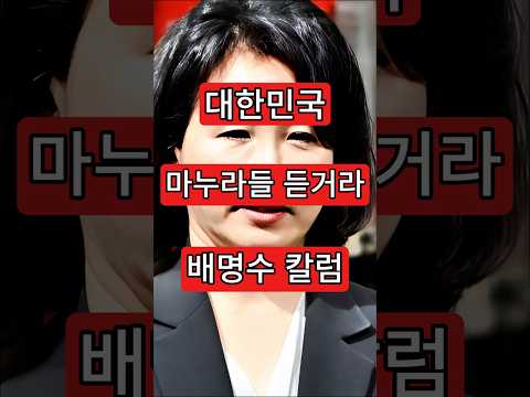 배명수 <strong>칼럼</strong>