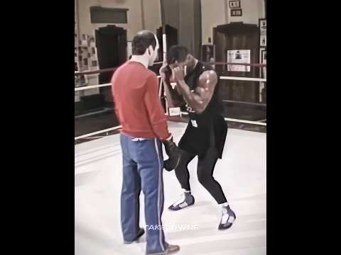 Tyson in Training, Tyson in Action #boxing