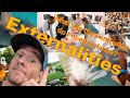 Understanding Externalities in Economics