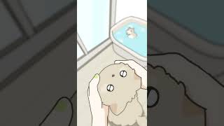 아유 루이 귀여워어어어