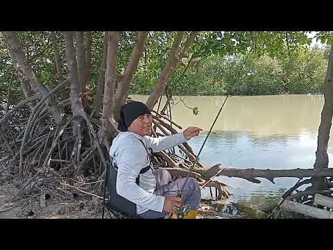 EXCELLENT !! FISHING IN THE RIVER 🎣