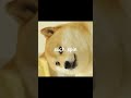 Musikksekvenser i Videoer