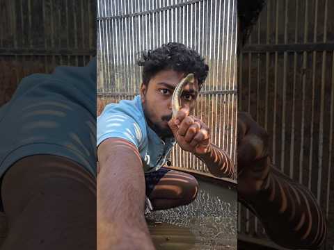 এবার কী হবে | 😬😨 | #minivlog #vlog #banglavlog