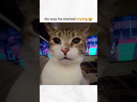 No way he started crying