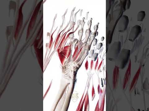 "உடலின் எலும்புகள் ஸ்டீலை விட வலிமையானவா? 😲 | Fascinating Facts About Human Bones!"