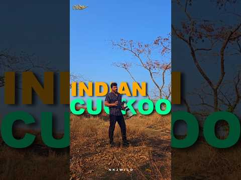 വിഷുപ്പക്ഷിയെ കണ്ടിട്ടുണ്ടോ ?