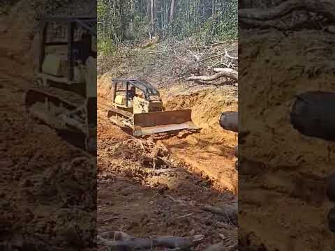 Tanah lembut lori mendap #stewong #bulldozerofficial #offroad #excavator