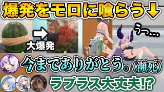 スイカの爆発に巻き込まれ、最後の言葉を残し倒れるラプラスwww【ホロライブ切り抜き/兎田ぺこら/白銀ノエル/ラプラスダークネス/儒烏風亭らで