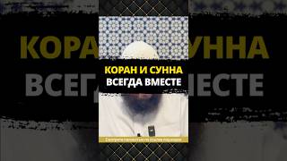 Коран и Сунна всегда вместе || Абу Умар Ас-Сыям