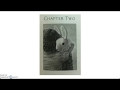 Edward Tulane Character and Plot