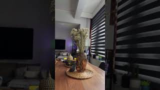 Ο θάνατος του Starlink #starlink #cartel #greece #internet #greek