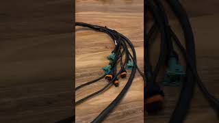 Mercedes C55 AMG engine wiring loom @ECUMasterUSA @aimsportsdata