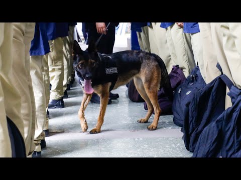 Operativo sorpresa en el INTI