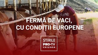 O fermă ca în Europa, chiar în Moldova