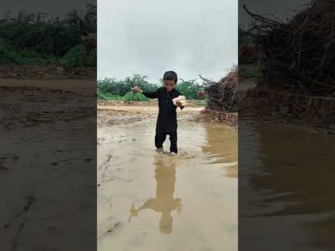 barish mein kabutar or bache ko Rescue Kiya 🥺🥲😭 kabutar sad video #trending #shorts #viral