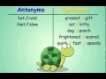 Exploring Antonyms and Synonyms in Language