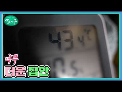 너무 더운 집안 <strong>MBN</strong> 260829 방송