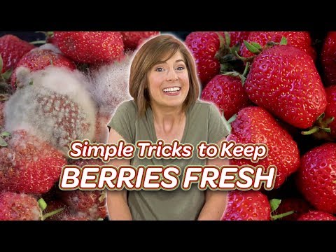 Simple Tricks to Keep Berries Fresh | Dish With Julia | Allrecipes.com