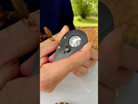 #ASMR #cigar collection from October #asmrvideo #cutting #lighting ๐