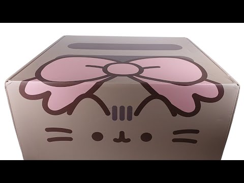 Pusheen Box Winter 2024 Staying Cozy Pusheen Subscription Box Unboxing Review