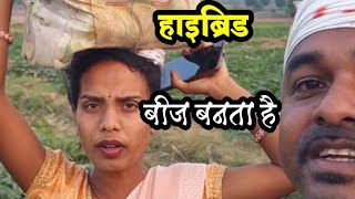 यहां हाइब्रीडीकारण होता है जिससे हाइब्रिड बीज बनता है न्यू ब्लॉग वीडियो #rockstar_bablu 