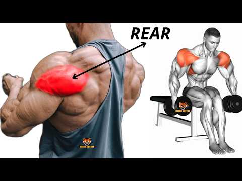 You just need these 6  exercises to get a 3 D SHOULDER ( REAR DELTOID )