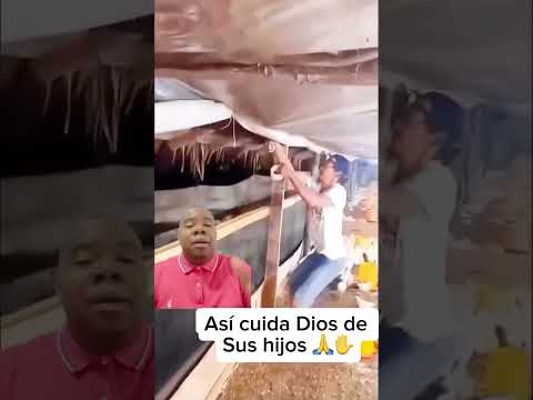 Así estamos en Dios #vidaeterna #jesus #jesusressuscitado