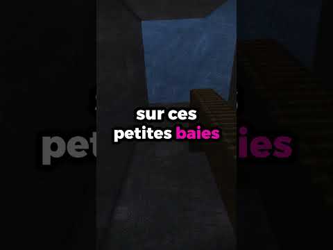 Peut-on MLG avec de la nourriture dans Minecraft (oui wtf 😲) thumbnail