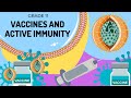 Immune Response and Vaccination Concepts