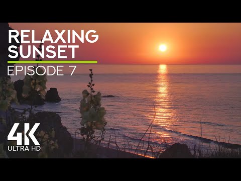 4K Relaxing Sunset – Episode 7 | ASMR Sea Waves & Cicadas Buzzing for Sleep & Deep Relaxation