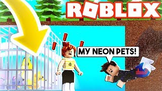Roblox Adopt Me Pets Coloring Pages Roblox Cheat Book - roblox adopt me pets coloring pages roblox cheat book