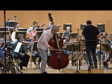Hertl • double bass concerto, 1. mov. • Božo Paradžik (d.b.) Tolga Taviş (conductor), Bursa Symphony
