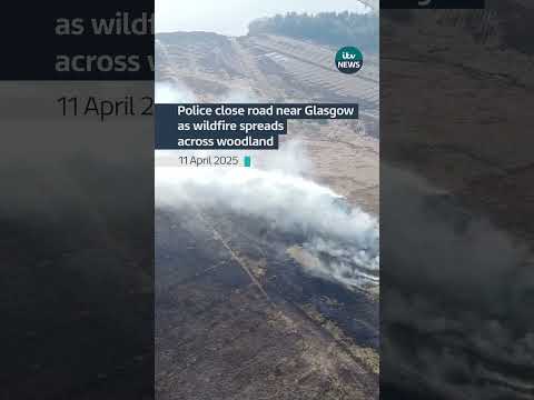 A wildfire that broke out in Cumbernauld spread overnight across a wooded area #itvnews