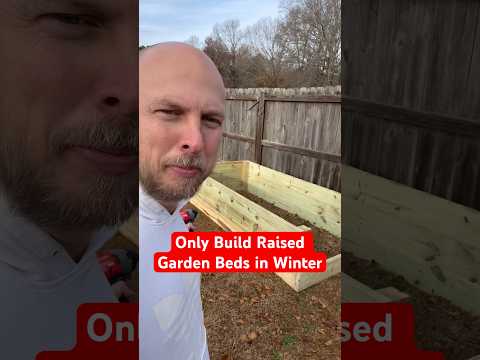 When to build a raised garden bed? #gardening #diy #growyourownfood #raisedgardenbed