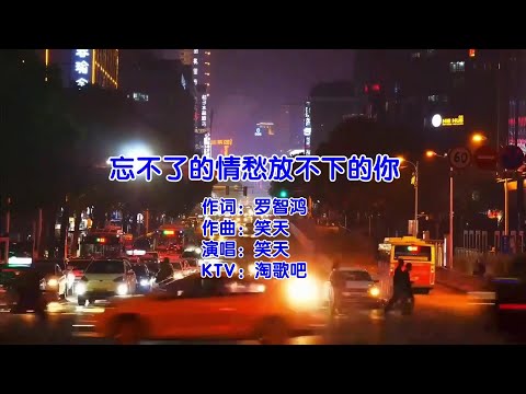 忘不了的情愁放不下的你 -笑天-演唱 KARAOKE