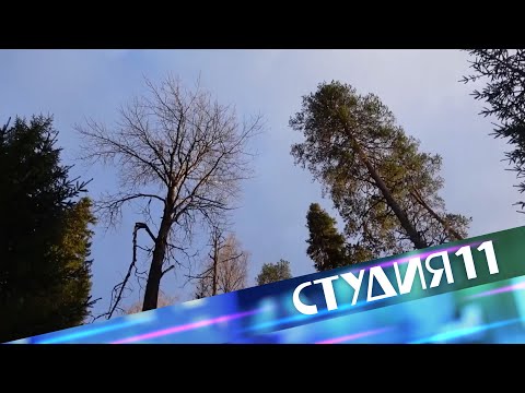 Студия 11. 11.04.2024