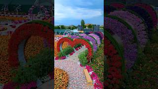 Noah's Garden Armenia
