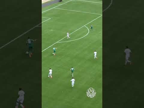 image para ilustrar o artigo